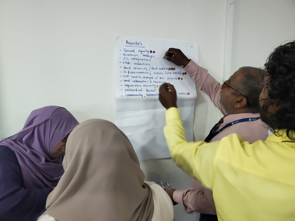 research priorities workshops
